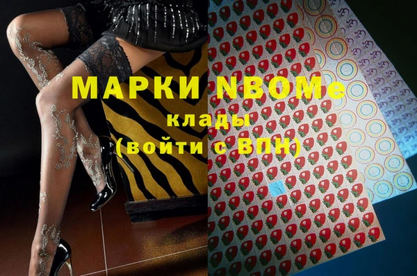 прущий лед Гусев
