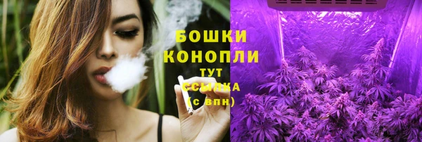 прущий лед Гусев