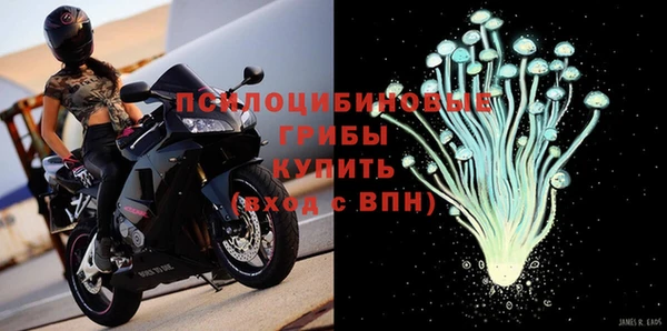 прущий лед Гусев