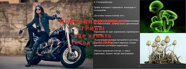 прущий лед Гусев