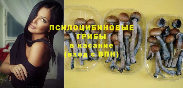 каннабис Гусиноозёрск