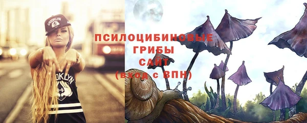 каннабис Гусиноозёрск